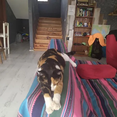 Vandrerhjem Chillsteps *