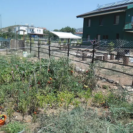 Chillsteps * フェティエ