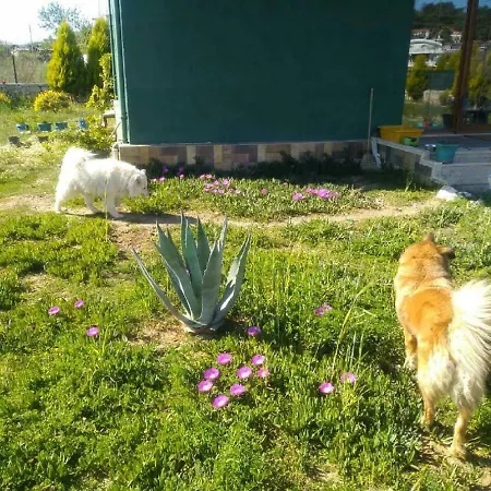 Chillsteps フェティエ