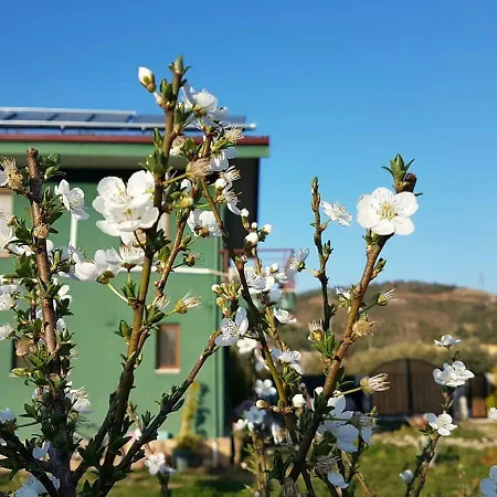 ホステル Chillsteps