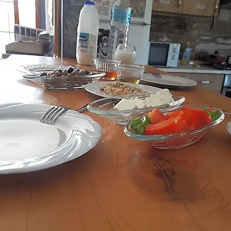 Chillsteps فتحية