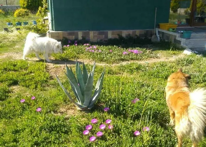 Chillsteps Φετιγιέ