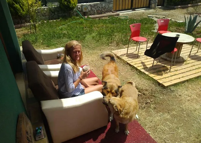 Chillsteps * Φετιγιέ